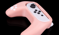 Porte JoyCon Kitty Switch